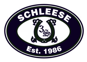 Schleese Logo